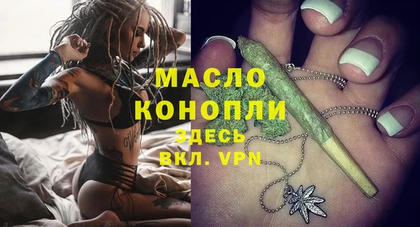гашик Горняк