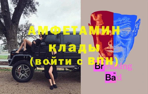 гашик Горняк