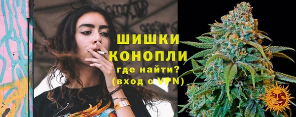 гашик Горняк