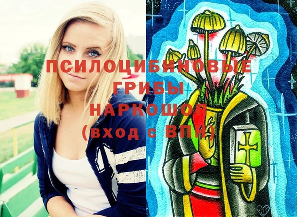 хмурый Горно-Алтайск