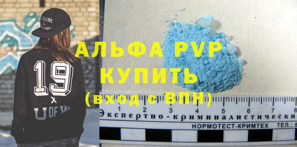 гашик Горняк