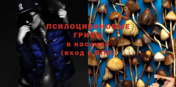 хмурый Горно-Алтайск