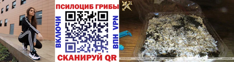 Псилоцибиновые грибы Magic Shrooms Майкоп
